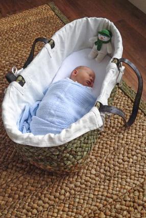 Moses Basket